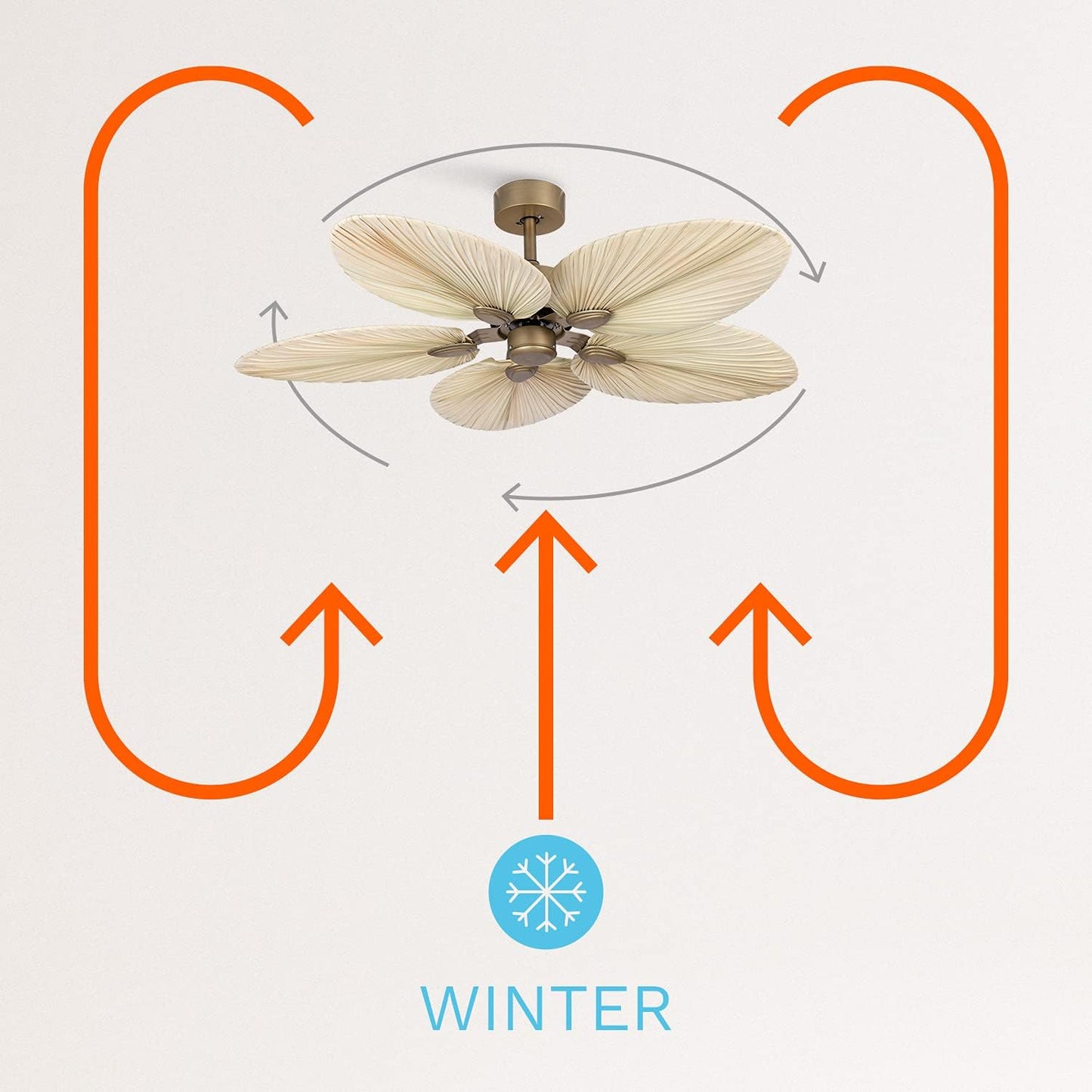 Create - Wind Palm / Ceiling Fan With Natural Palm Leaves And Remote Control 40 W Quiet/diameter 132 Cm/ 6 Speeds Summer Winter Operation