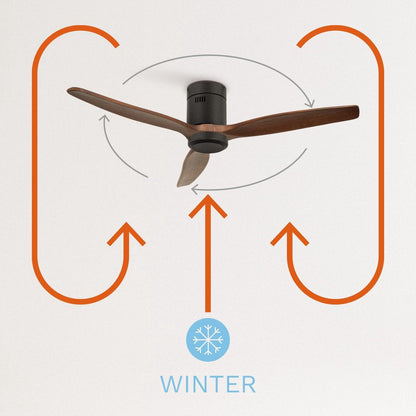 Create - Windcalm Dc Stylance Black - Ceiling Fan ( With Light)