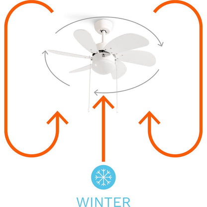 CREATE - Wind Easy Ceiling fan With lighting - 3 speeds - Summer/winter function  