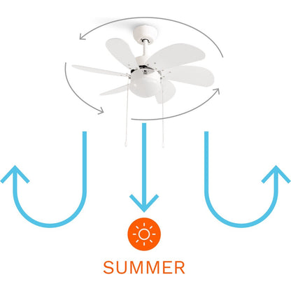 CREATE - Wind Easy Ceiling fan With lighting - 3 speeds - Summer/winter function  