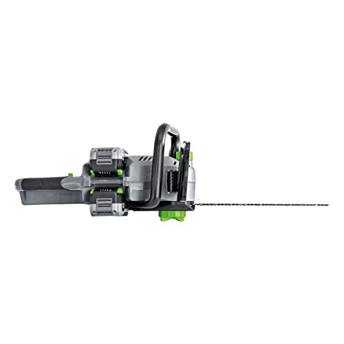 LUX-TOOLS - Cordless Chainsaw 12 Inch Oregon Blade, 30 cm Cutting Length