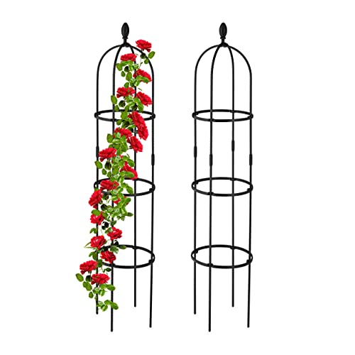 Set of two black metal garden obelisks designed to support climbing plants, each measuring 160 by 35 centimeters, featuring a rose cage design and free-standing structure.