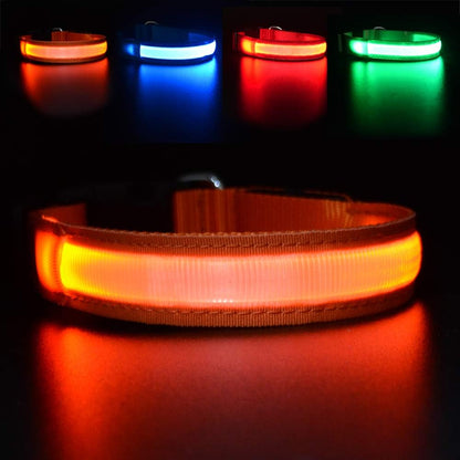 Masbrill - Led Rechargeable Waterproof Light Up Dog Collar