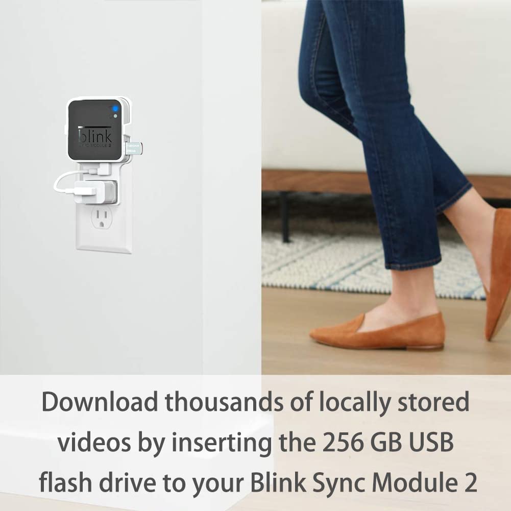 Blink - 256GB USB Flash Drive for Local Video Storage with Sync Module 2 Mount