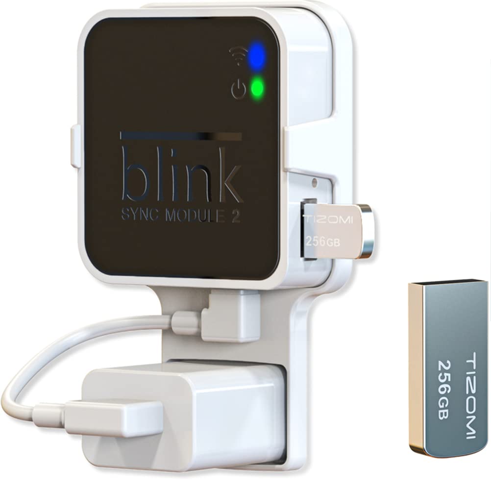 Blink - 256GB USB Flash Drive for Local Video Storage with Sync Module 2 Mount