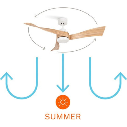 Create - Wind Curve Ceiling Fan With Remote Control ( With Light )