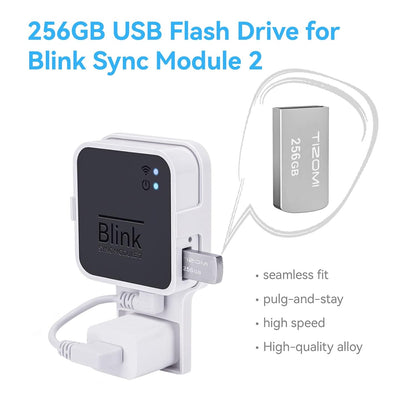 Blink - 256GB USB Flash Drive for Local Video Storage with Sync Module 2 Mount