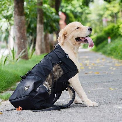 Woolala - Dog Backpack Carrier With Waterproof Lining For Hiking And Travel