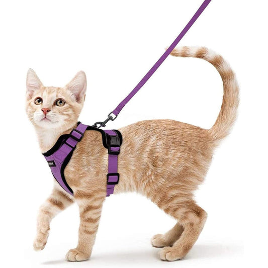 Globegou Co., Ltd. - Rabbitgoo Cat Harness And Leash, Escape Proof, Adjustable, Purple, XS