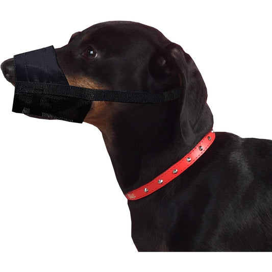 Dingo - Nylon Muzzle for Small Breeds 16773