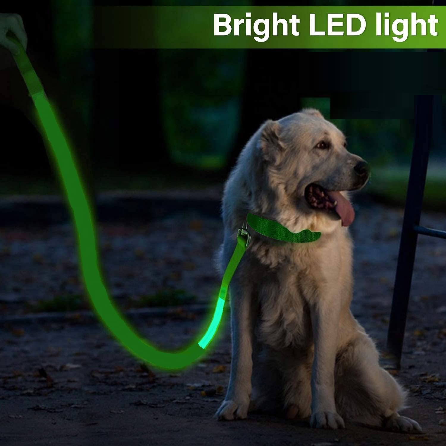 -- Led Dog Collar - Usb Rechargeable, Glowing Pet Necklace For Night Walks (M)