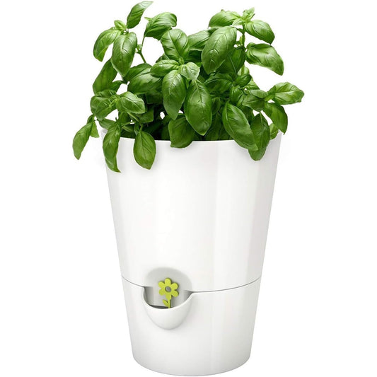 Emsa - Fresh Herbs Automatic Watering Pot White