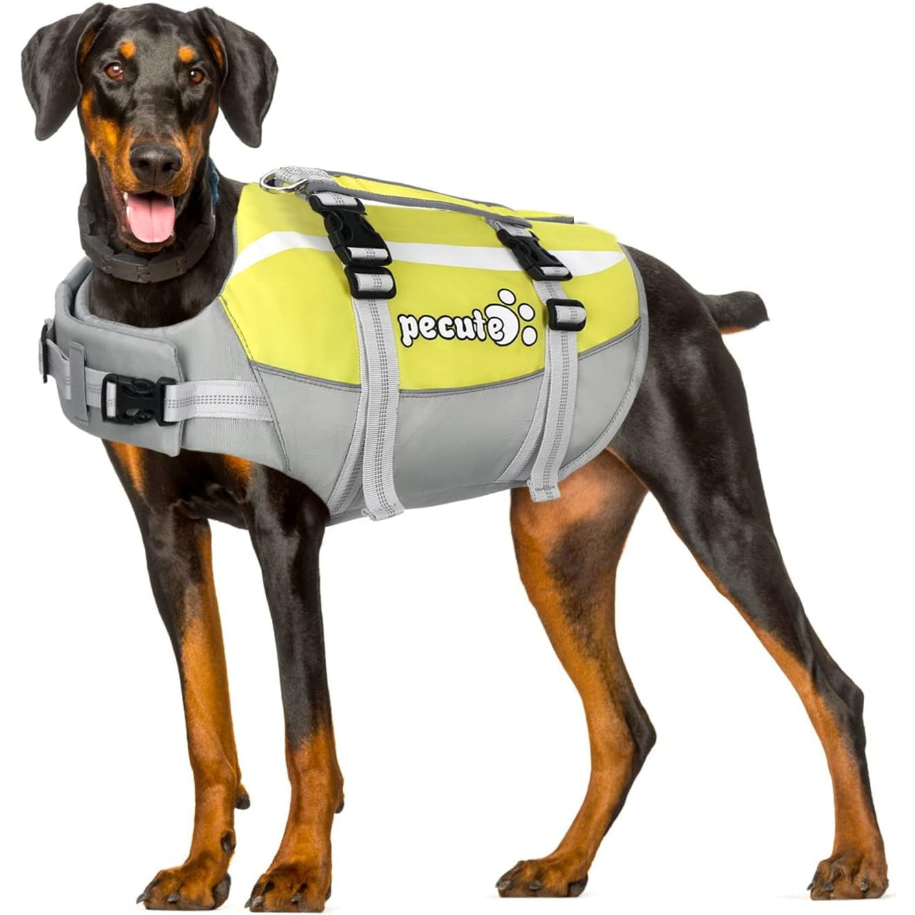 Pecute - Dog Life Jacket With High Buoyancy And Lift Handle, L