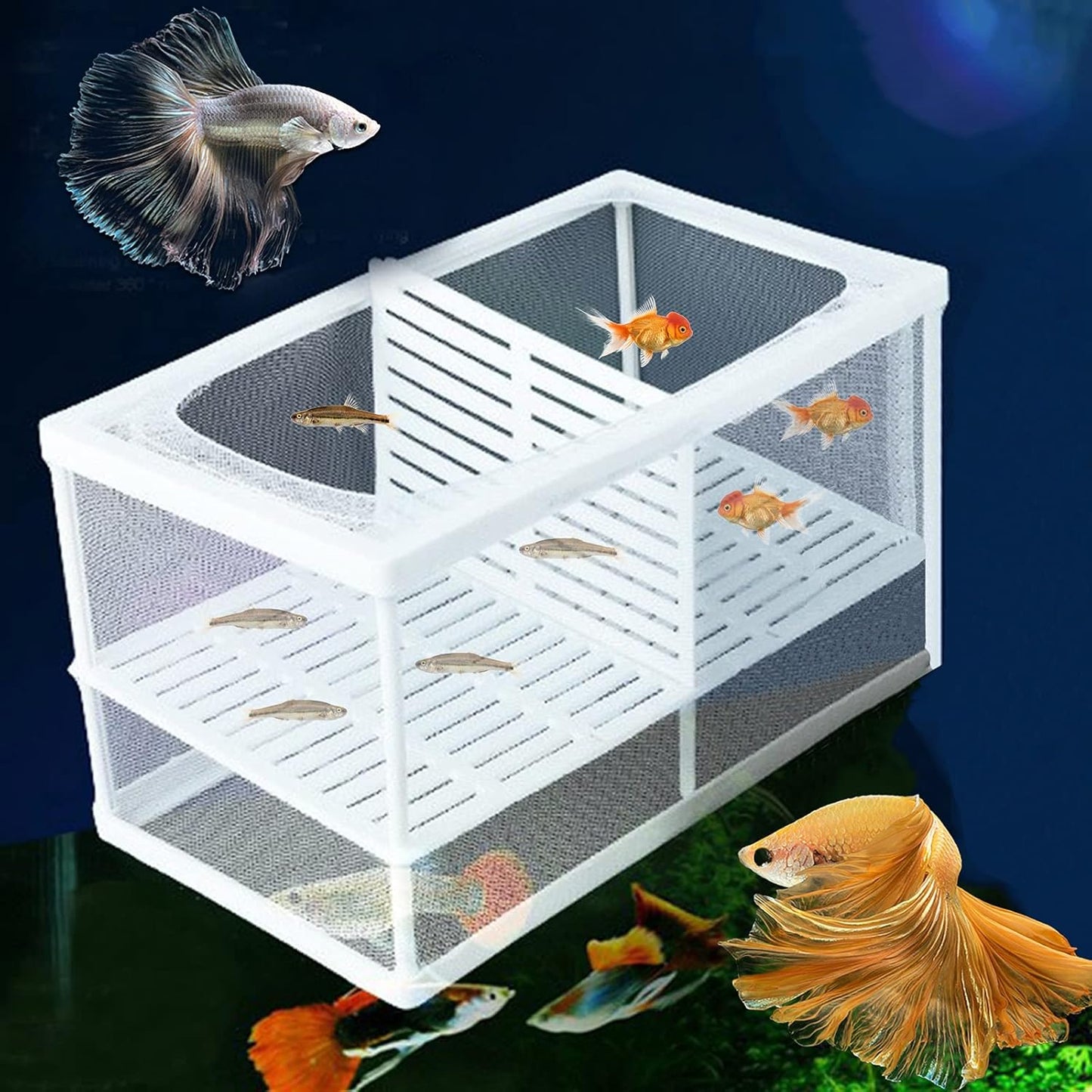 Acehome - Large Multi-Functional Fish Breeding Box With 6 Suction Cups