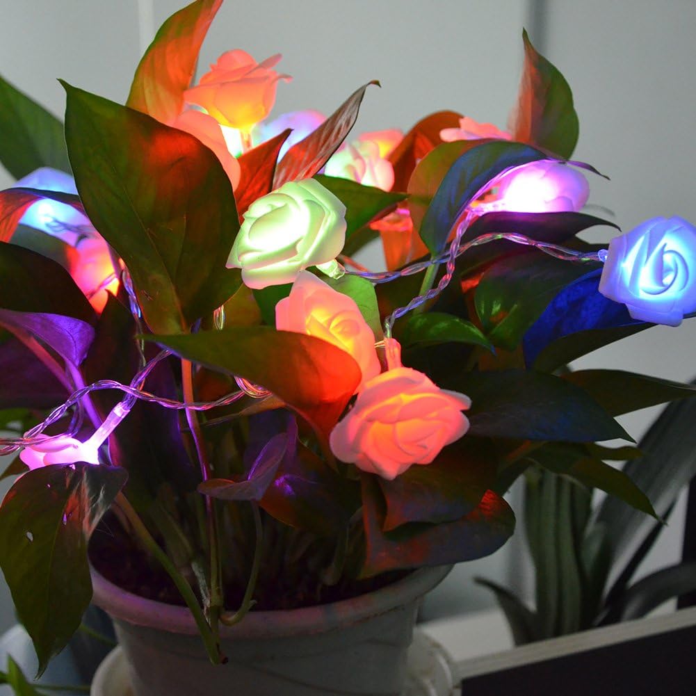 Jltph - Rose Flower String Light 20 LED Battery Power, Multi-Color, 2.5M/8.2Ft