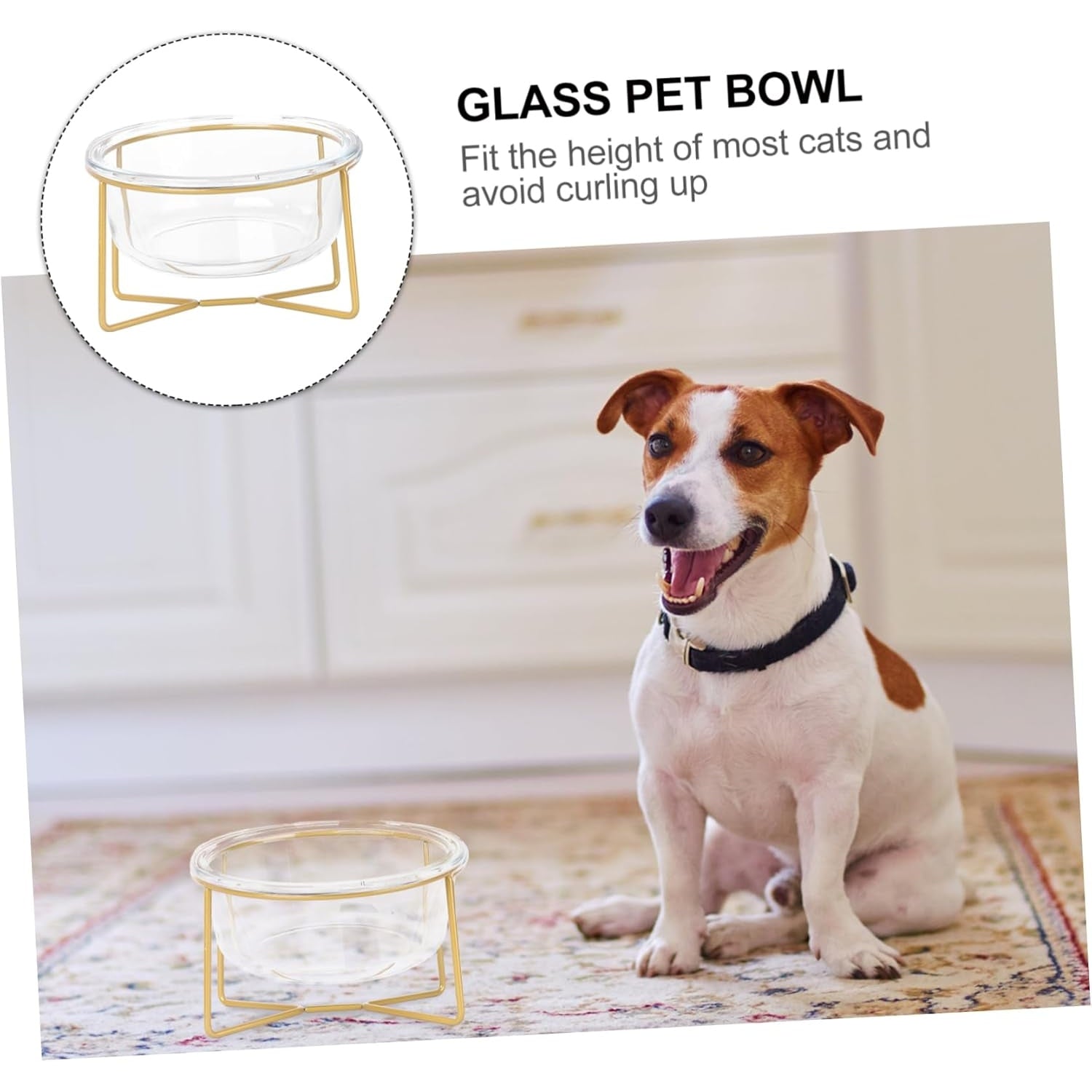 Beavorty - 3 Pcs Glass Pet Feeding Bowls With High Base