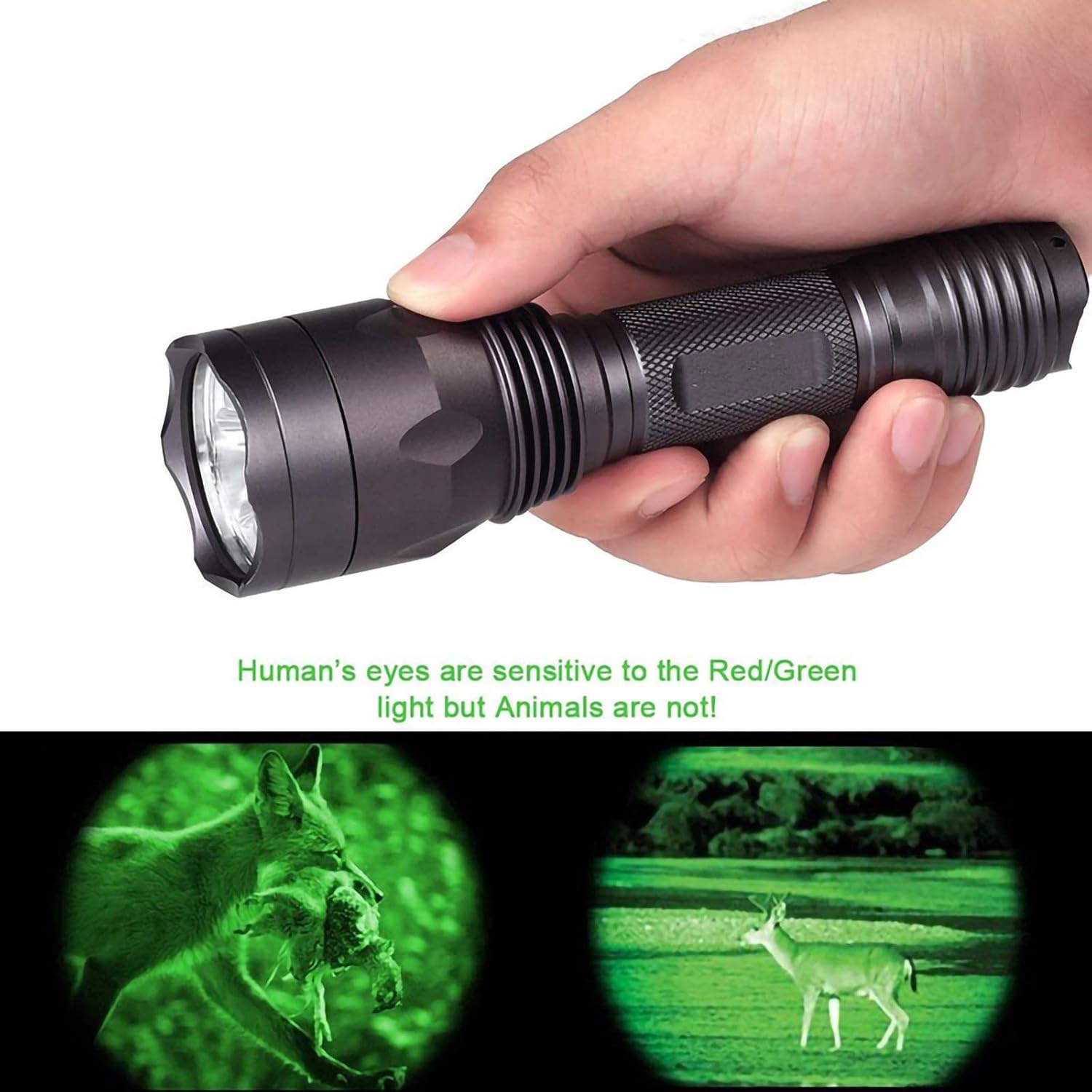 Windfire - S10 300 Yards 650 Lumen Green Led Hunting Flashlight Kit