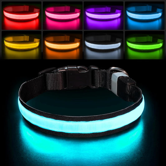 Pumila - Light Up LED Dog Collar, Rechargeable & Waterproof