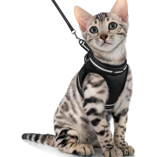 Globegou Co., Ltd. - Rabbitgoo Cat Harness And Leash Set, Escape Proof, Reflective, Black, XL