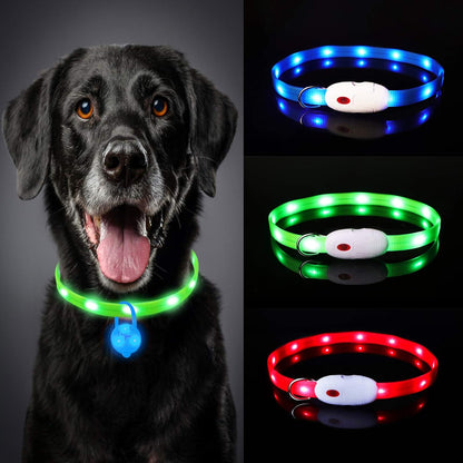 Oladwolf - Rechargeable LED Dog Collar, Waterproof, Adjustable, 3 Light Modes, Green