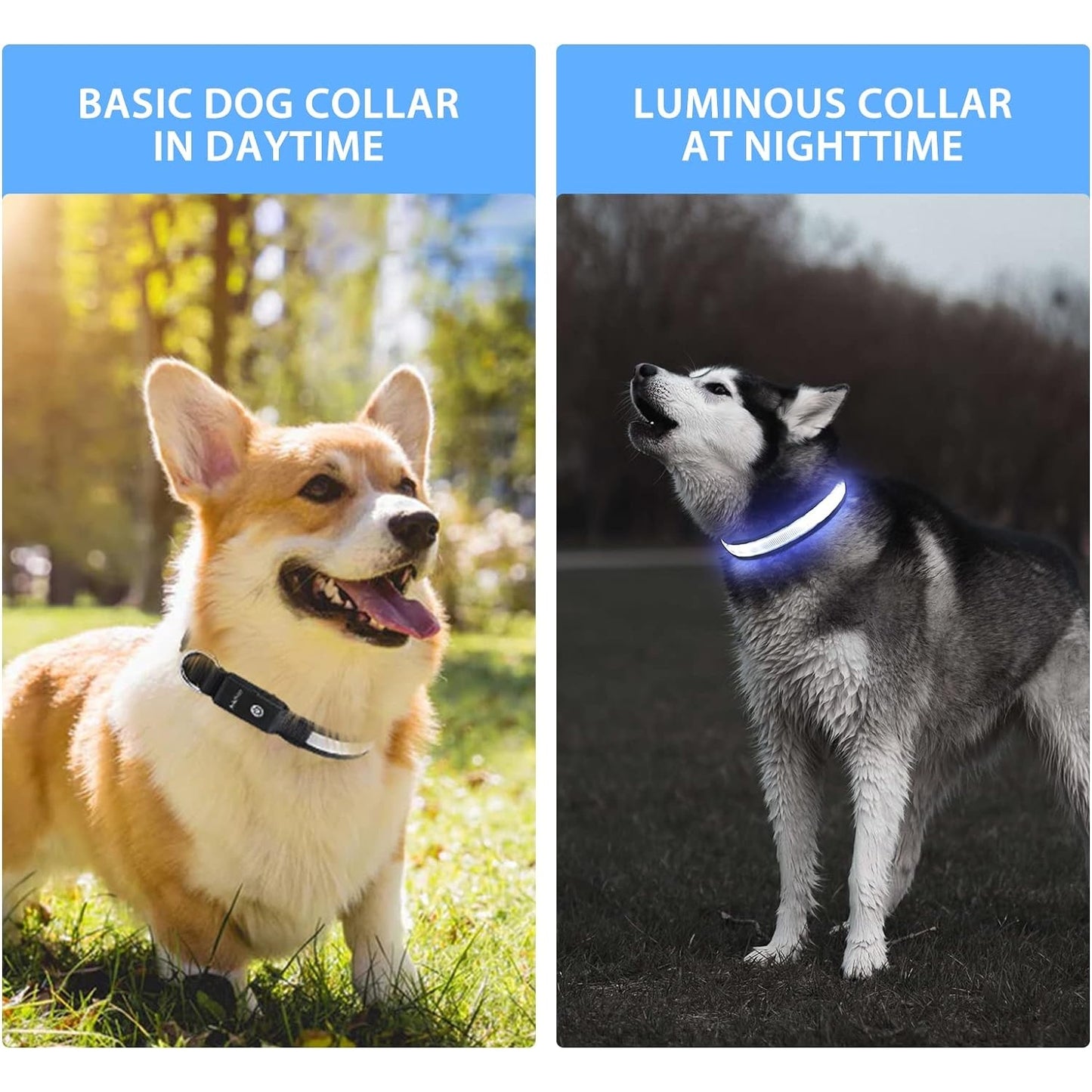 Pceotllar - Light Up Led Dog Collar, Rechargeable & Waterproof