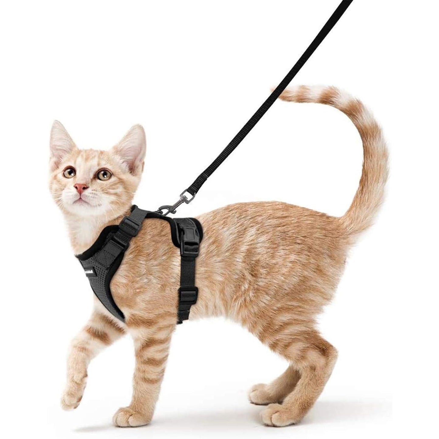 Globegou Co., Ltd. - Rabbitgoo Cat Harness And Leash, Escape Proof, Adjustable, Black, S