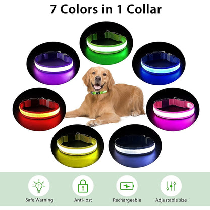 Pceotllar - Light Up Led Dog Collar, Rechargeable & Waterproof