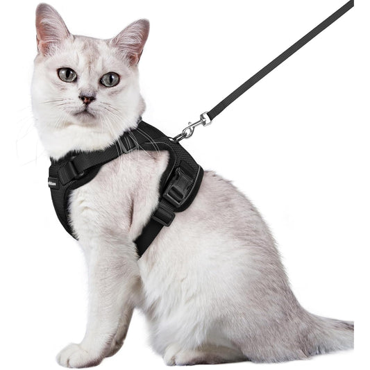 Globegou Co., Ltd. - Rabbitgoo Cat Harness And Leash, Escape Proof, Adjustable, Black, M