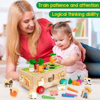 Montessori Mama - Toddlers Montessori Educational Wooden Shape Sorting Toys