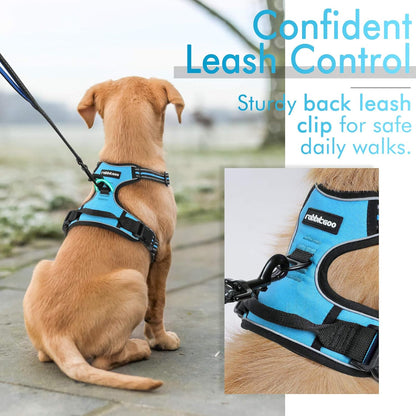 Globegou Co., Ltd. - Rabbitgoo No-Pull Dog Harness, Reflective, Small, Blue