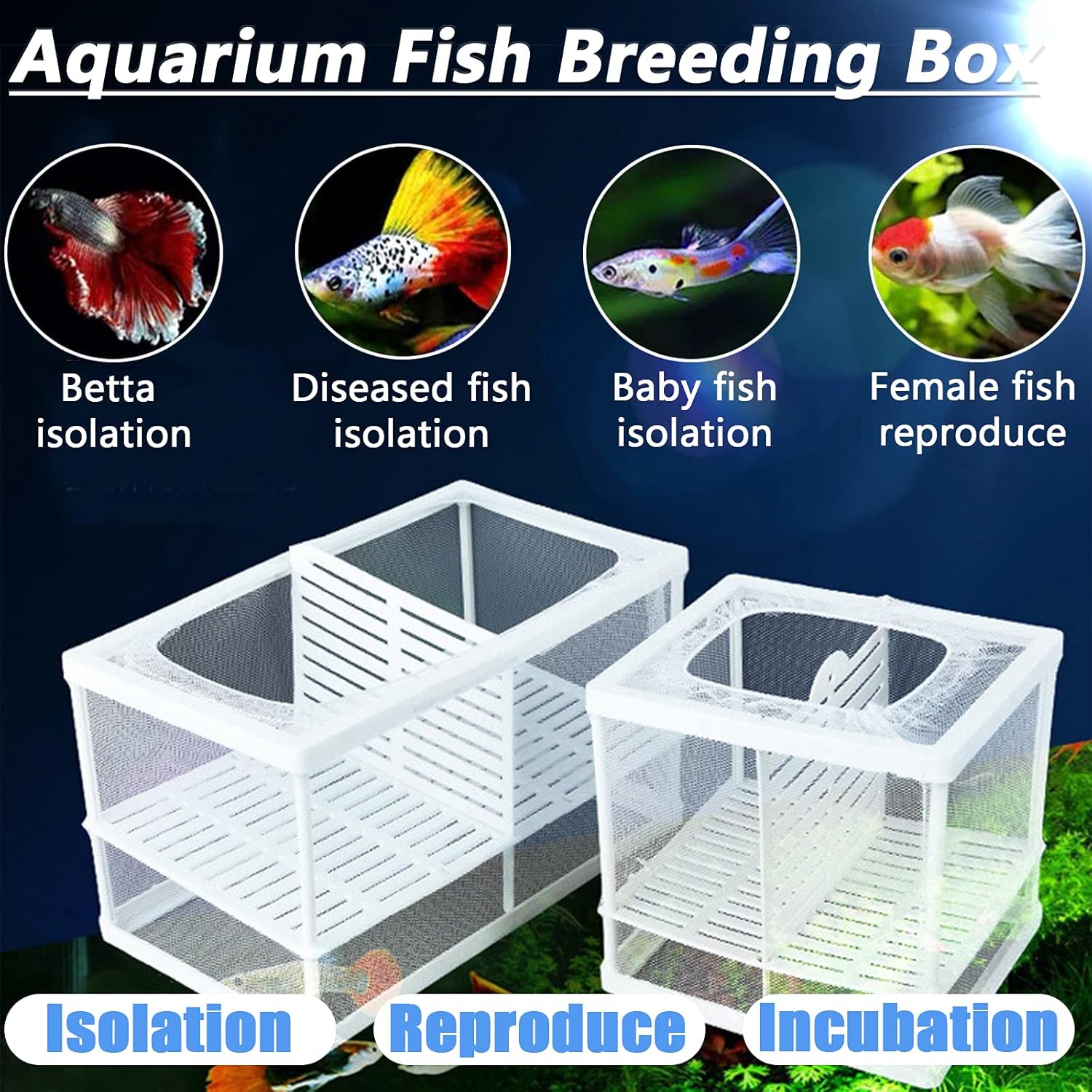 Acehome - Large Multi-Functional Fish Breeding Box With 6 Suction Cups