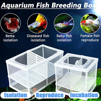 Acehome - Large Multi-Functional Fish Breeding Box With 6 Suction Cups