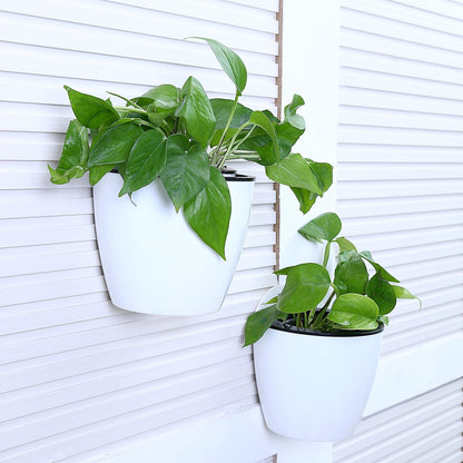 Mygift - Self-Watering Wall-Mount Planters, 17.8 Cm, White, Set of 2