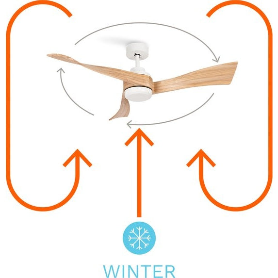 Create - Wind Curve Ceiling Fan With Remote Control ( With Light )